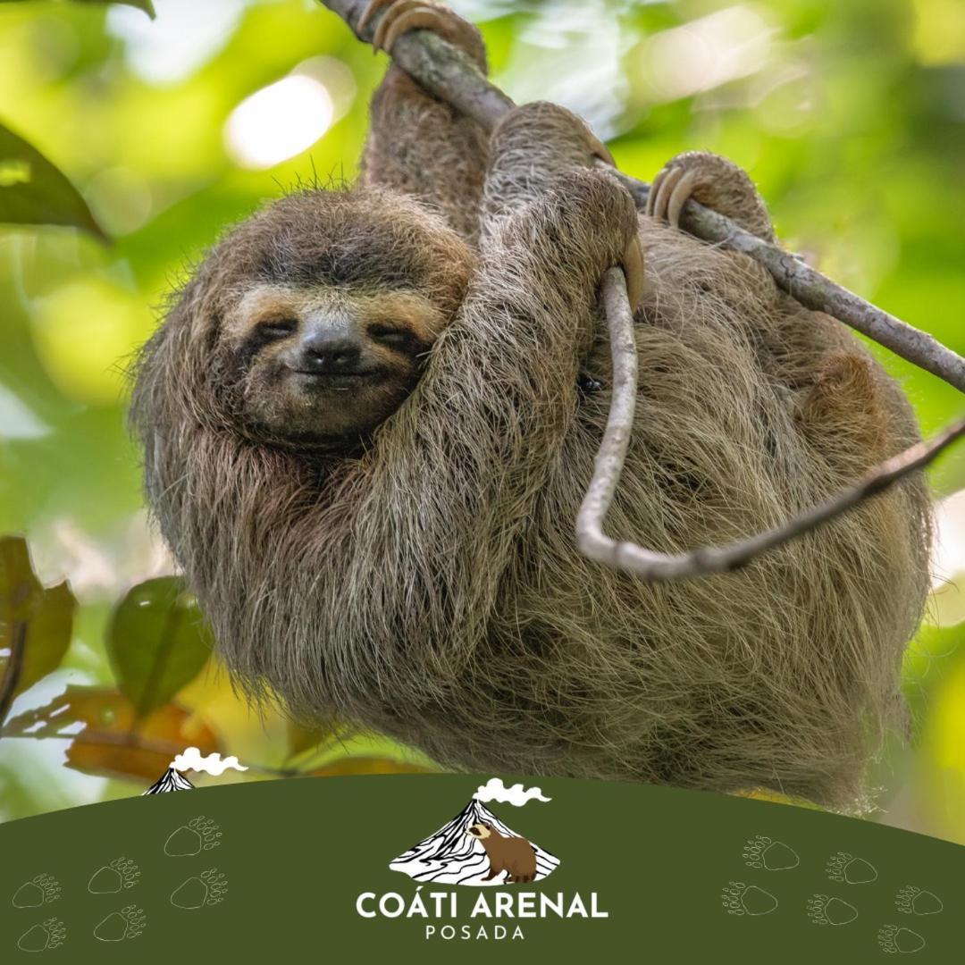 Coati Del Arenal Posada La Fortuna Exterior photo